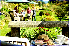 Cornwall Tourism Magazine - Meudon Hotel Garden - small